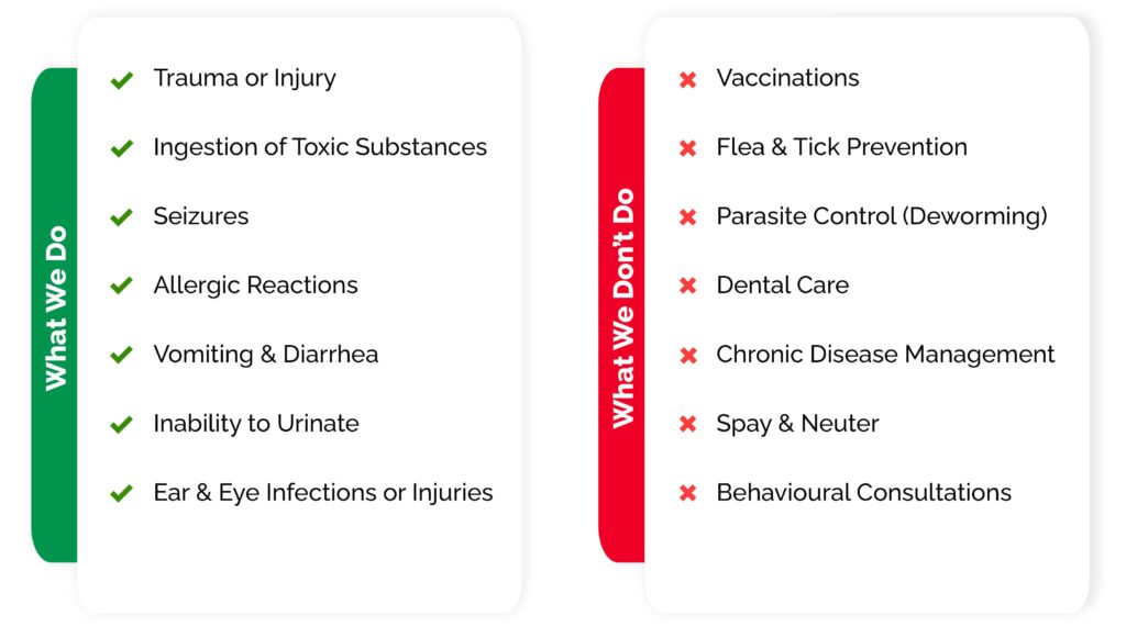 list-of-services-we-do-&-services-we-dont-do